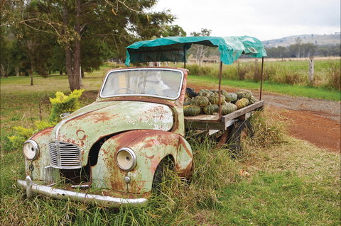 Monto - Attractions Perth 2