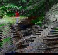Montezuma Falls - Attractions Perth