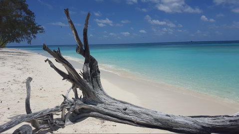 North West Island - Attractions Perth 0