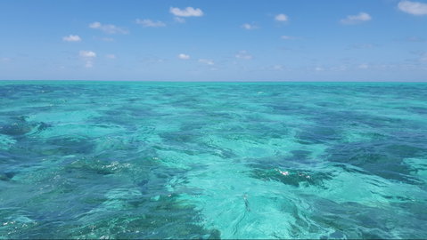 North West Island - Attractions Perth 1
