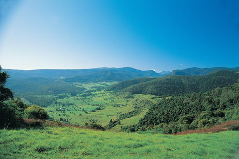 Numinbah Section, Springbrook National Park - Attractions Perth 0