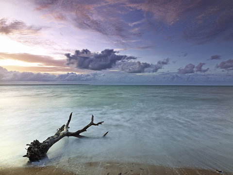 Paul Arnold Gallery - Attractions Perth 1