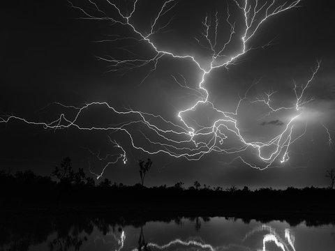 Paul Arnold Gallery - Attractions Perth 2