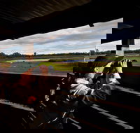 Reed Beds Bird Hide Boardwalk - Attractions Perth