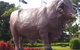 Rockhampton Bull Statues - thumb 1