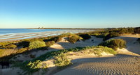 Shelly Beach Dune Walk Trail