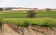 Smidge Wines Tasting Room - thumb 0