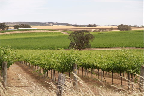 Smidge Wines Tasting Room - Attractions Perth 0