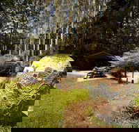 The Pines Picnic Area - Attractions Perth