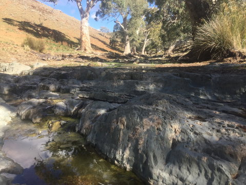 Three Creeks Station -Arkaroona Creek Walk - Attractions Perth 0