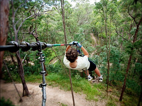TreeTop Challenge - Attractions Perth 0