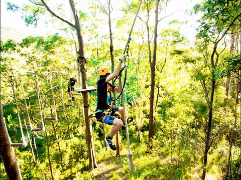 TreeTop Challenge - Attractions Perth 1