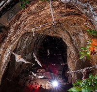 Undara Experience - Attractions Perth
