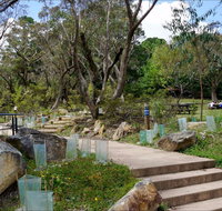 Wentworth Falls picnic area - Attractions Perth