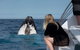 Whale Watching - thumb 1