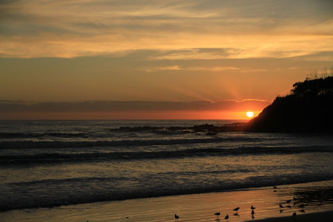 Woolgoolga - Attractions Perth 2