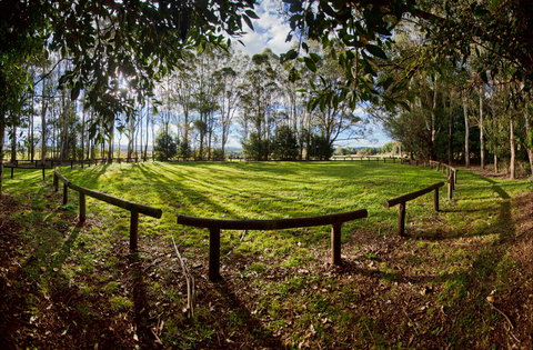 Aboriginal Bora Ring - Attractions Perth 0