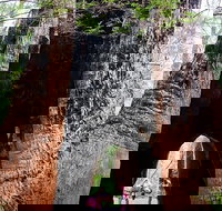 Ancient Empire Walk Valley of the Giants - Attractions Perth