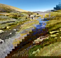 Australian Alps Walking Track - Attractions Perth