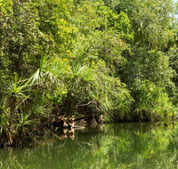 Berry Springs Nature Park - Attractions Perth