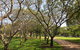 Bicentennial Park - thumb 1