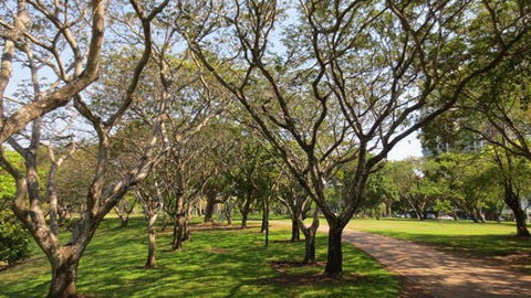 Bicentennial Park - Attractions Perth 1