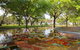 Bicentennial Park - thumb 2