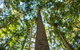 Big Sky National Parks - thumb 0
