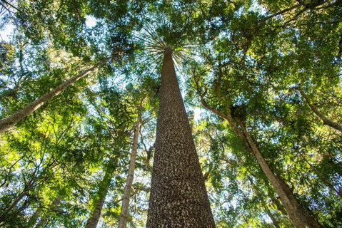 Big Sky National Parks - Attractions Perth 0