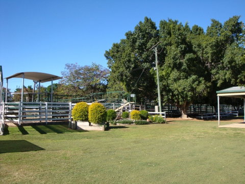 Blackall Saleyards - Attractions Perth 1