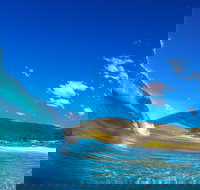 Blueys Beach Pacific Palms - Attractions Perth