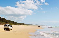 Bongil Bongil National Park