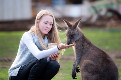 Bonorong Wildlife Sanctuary - Attractions Perth 1