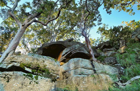 Burrawang Reach Picnic Area - Attractions Perth 0