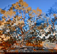 Burke and Wills Dig Tree - Attractions Perth