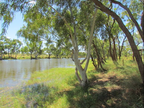 Camooweal Caves National Park - Attractions Perth 1