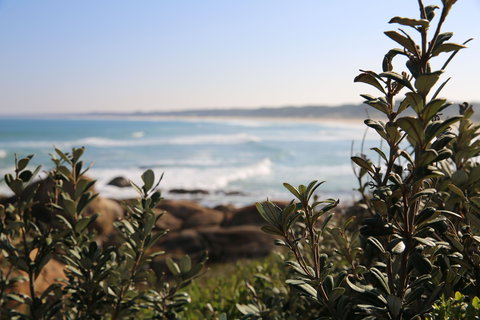 Cape Conran Coastal Park - Attractions Perth 0