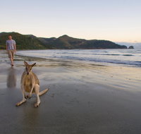 Cape Hillsborough National Park - Attractions Perth