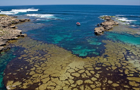 Cathedral Rocks Viewing Platform - Attractions Perth 0