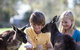 Cleland Wildlife Park - thumb 1