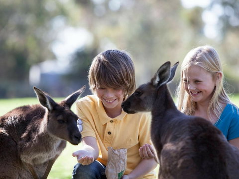 Cleland Wildlife Park - Attractions Perth 1