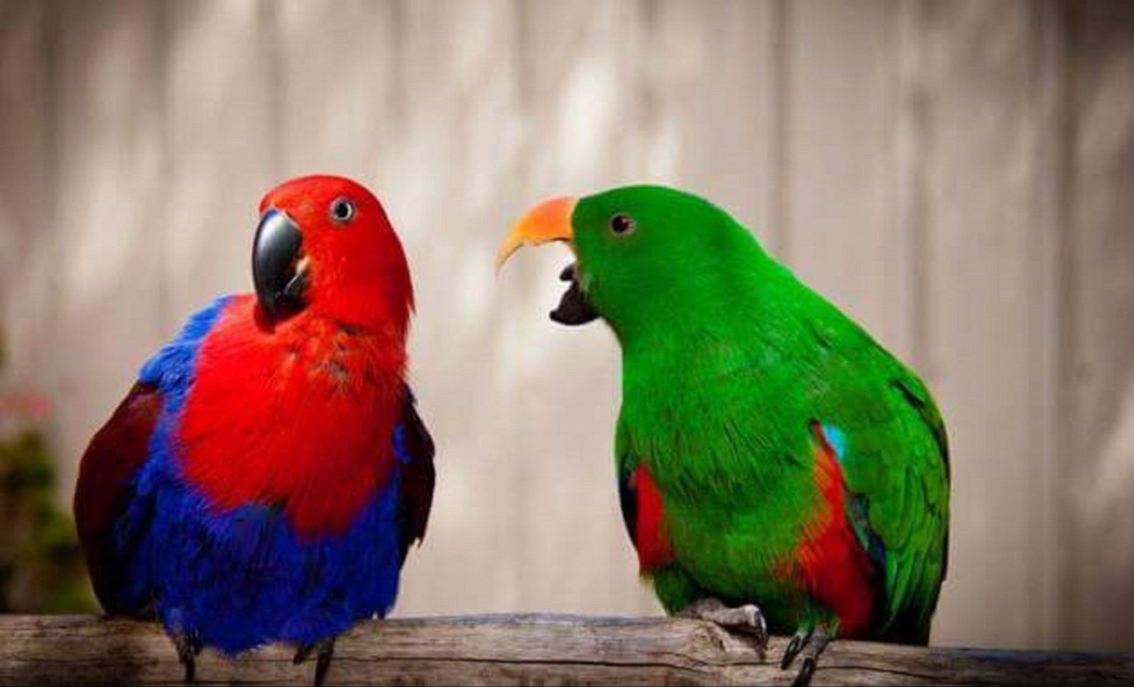 Denmark WA Attractions Perth