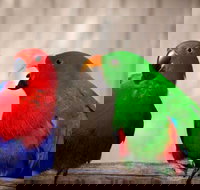 Denmark Dinosaur World - Attractions Perth