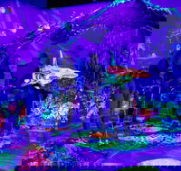 Glowing Rooms 3D Mini Golf - Attractions Perth