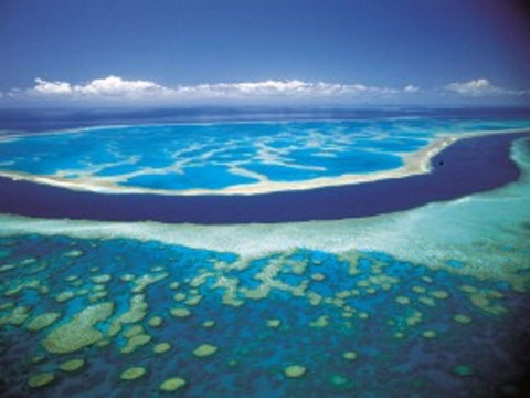 Hardy Reef - Attractions Perth 0