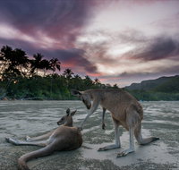 How to Holiday on The Hibiscus Coast with your Family - Attractions Perth