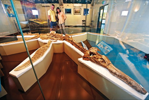 Kronosaurus Korner - Attractions Perth 1