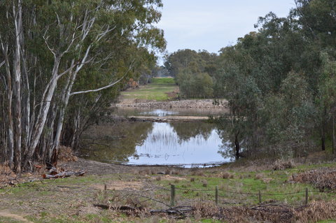 Lawson Syphon - Attractions Perth 1