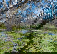 Macquarie Valley Trails - Attractions Perth