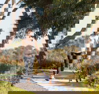 Meningie Walking and Cycling Trails - Attractions Perth